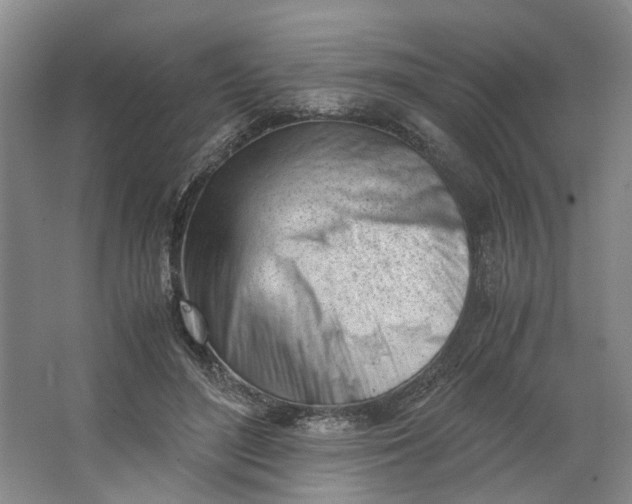 X0000062870500200601271559