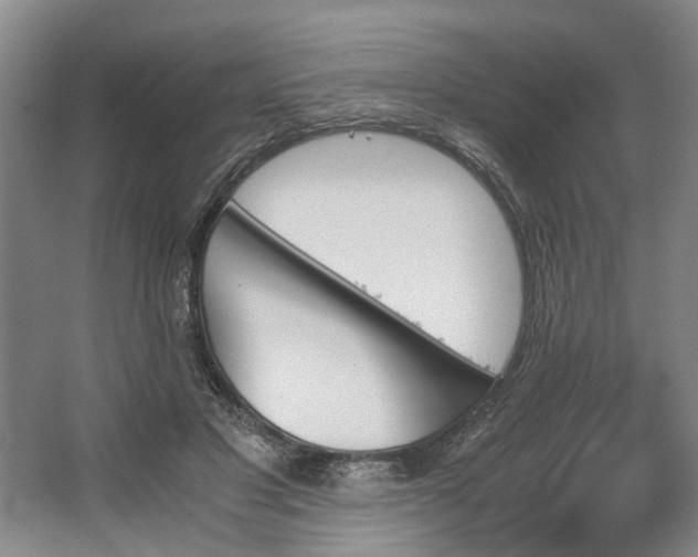 X0000062870501200601271559