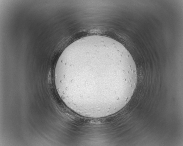 X0000062870502200601271559