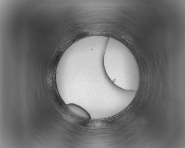 X0000062870503200601271559