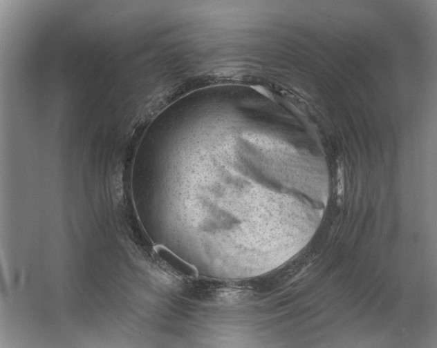 X0000062870504200601271559