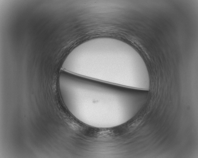 X0000062870505200601271559