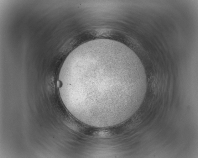 X0000062870506200601271559