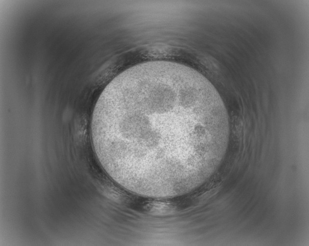 X0000062870507200601271559