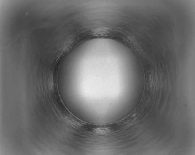 X0000062870508200601271559