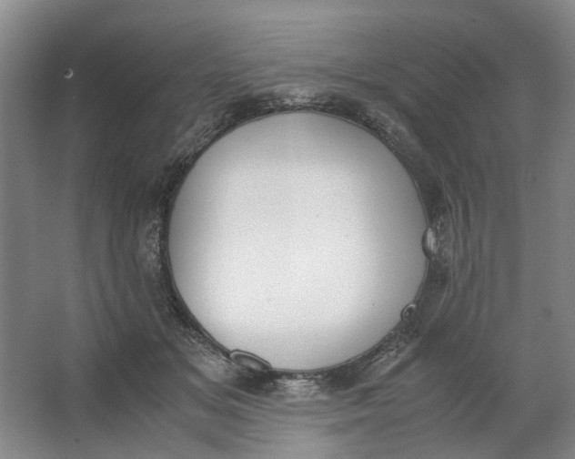 X0000062870509200601271559