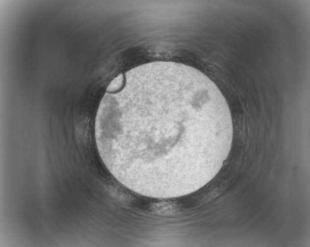 X0000062870511200601271559