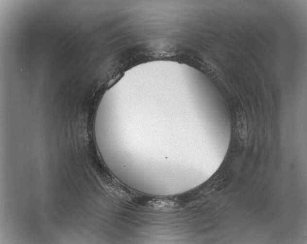 X0000062870512200601271559