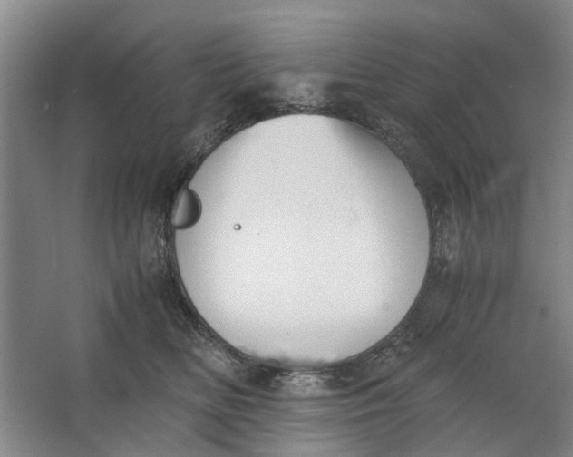 X0000062870518200601271559