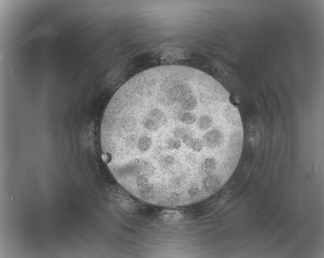 X0000062870519200601271559