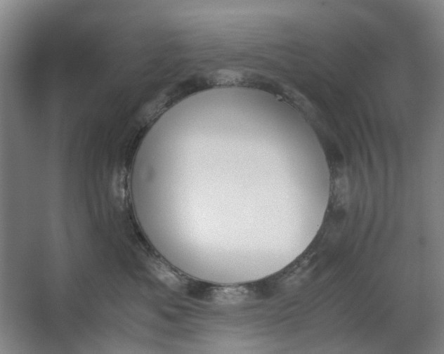 X0000062870525200601271559