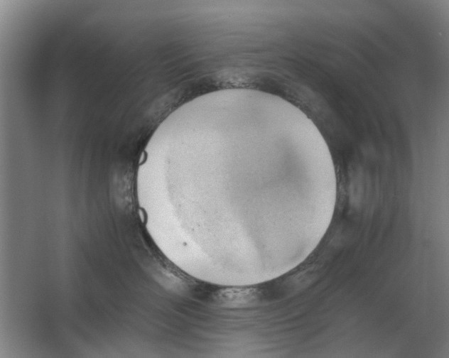 X0000062870526200601271559