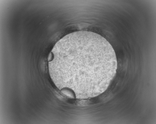 X0000062870527200601271559