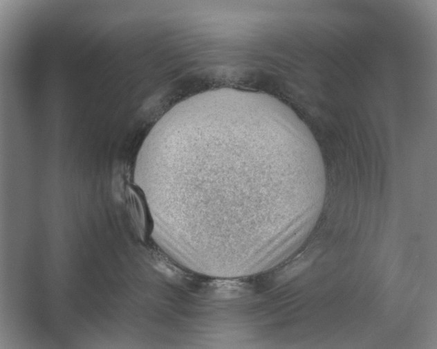 X0000062870528200601271559