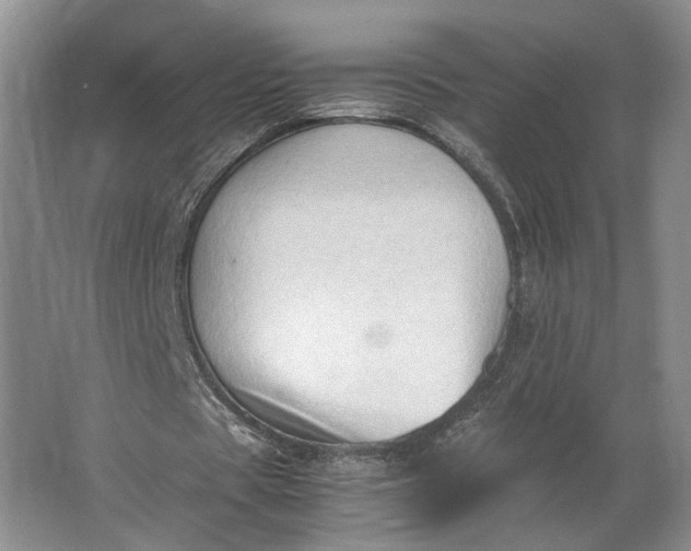 X0000062870529200601271558