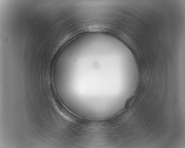 X0000062870530200601271558