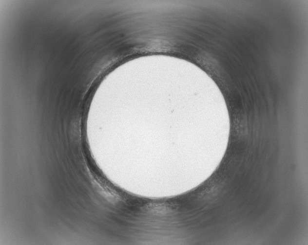 X0000062870534200601271558