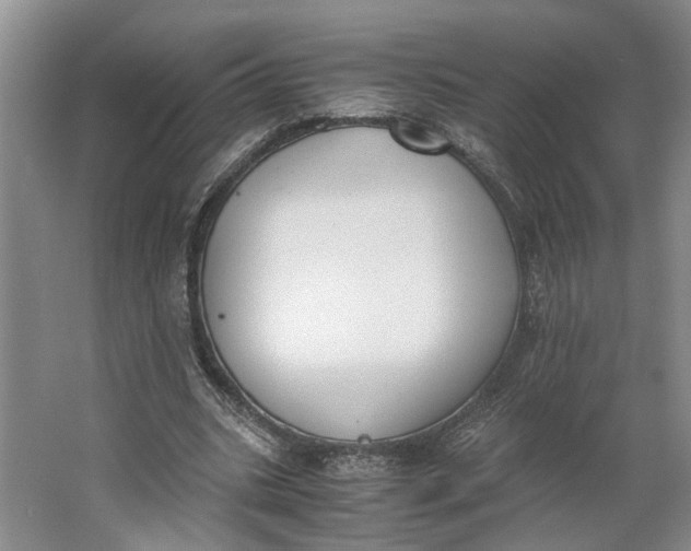 X0000062870535200601271558