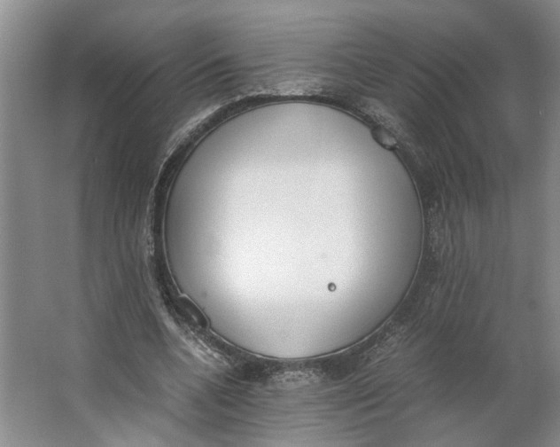 X0000062870536200601271558