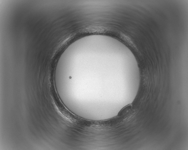 X0000062870538200601271558