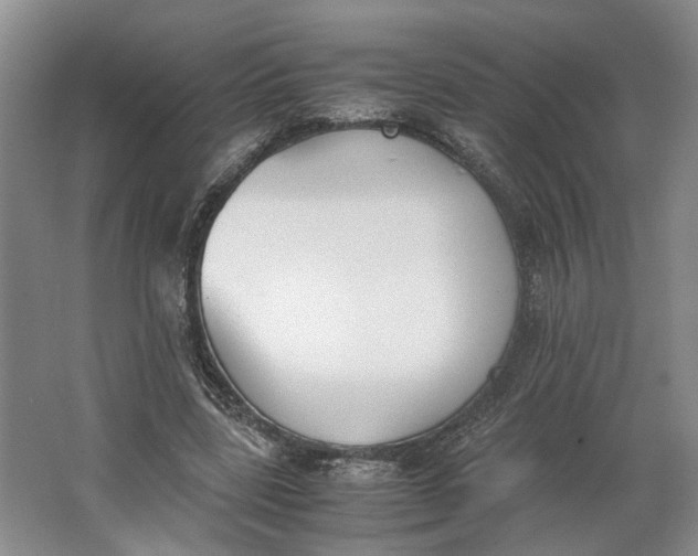 X0000062870539200601271558