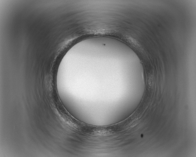 X0000062870540200601271558