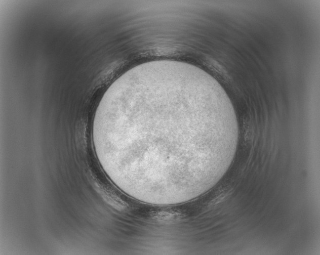 X0000062870542200601271558