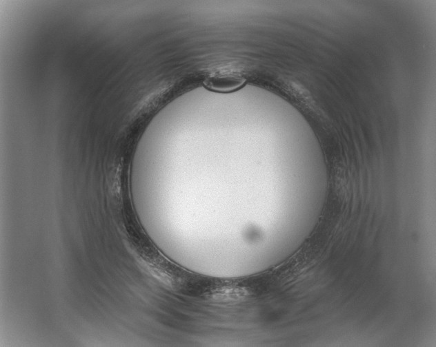 X0000062870543200601271558