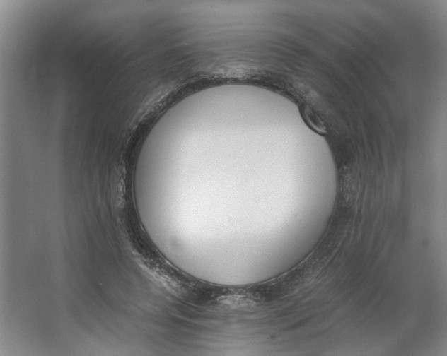 X0000062870544200601271558