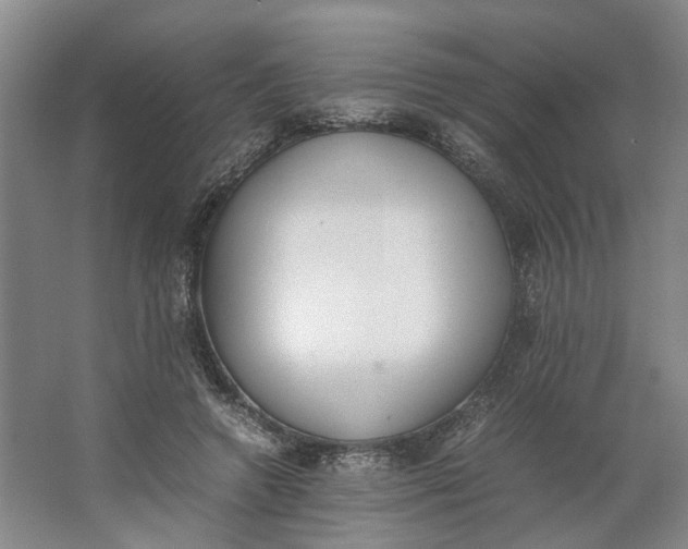 X0000062870546200601271558