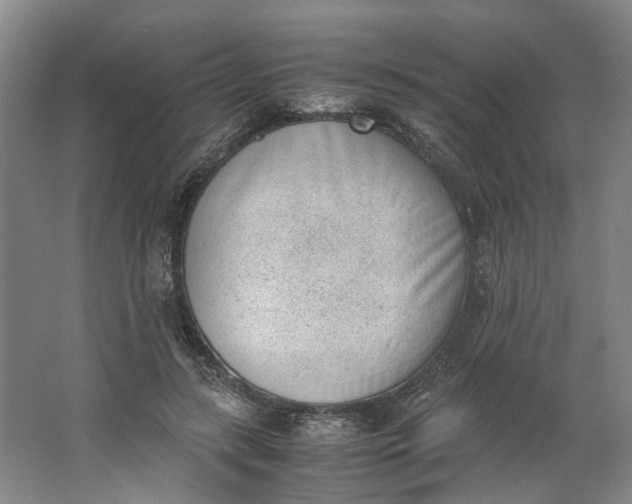 X0000062870547200601271558