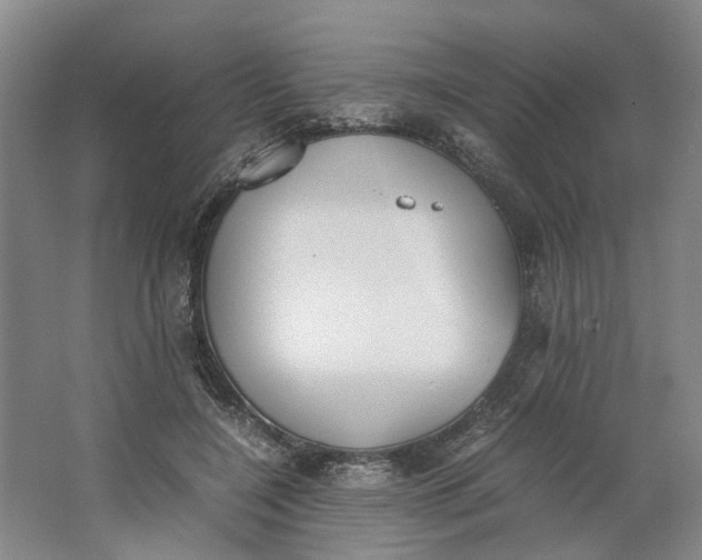 X0000062870548200601271558