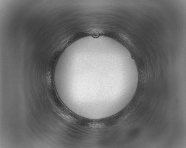 X0000062870549200601271558