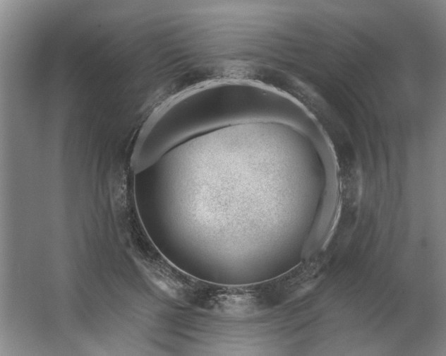 X0000062870552200601271558