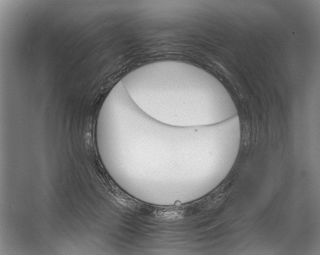 X0000062870553200601271558