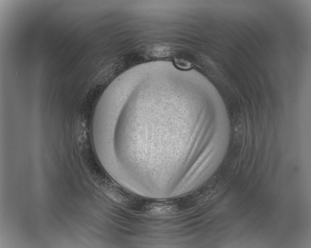 X0000062870555200601271558