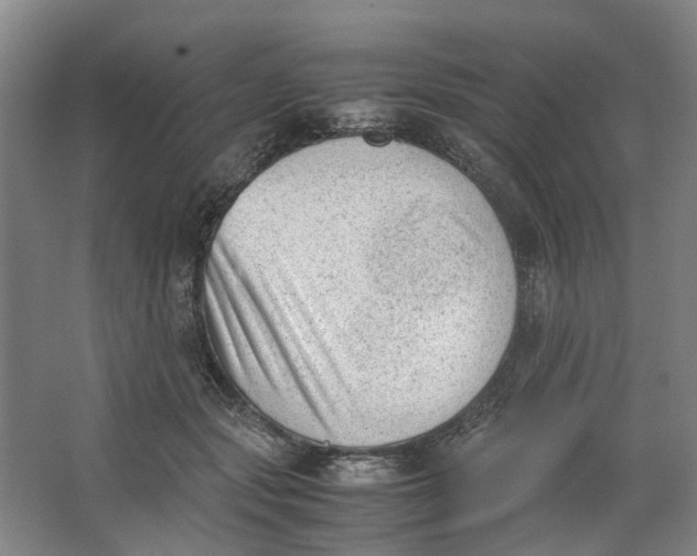 X0000062870557200601271559