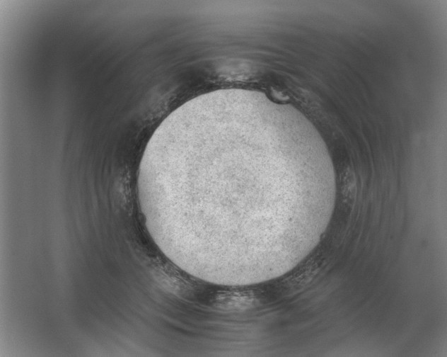 X0000062870559200601271559