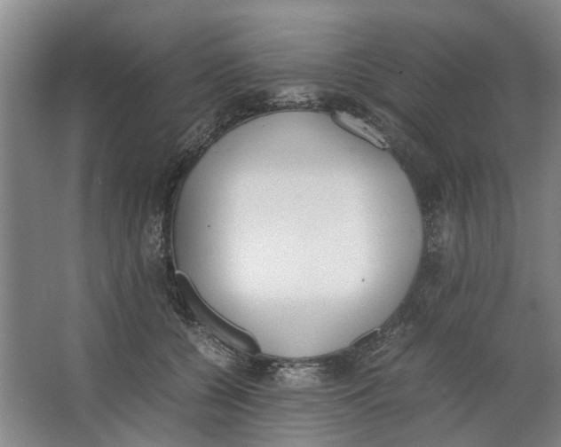 X0000062870560200601271559