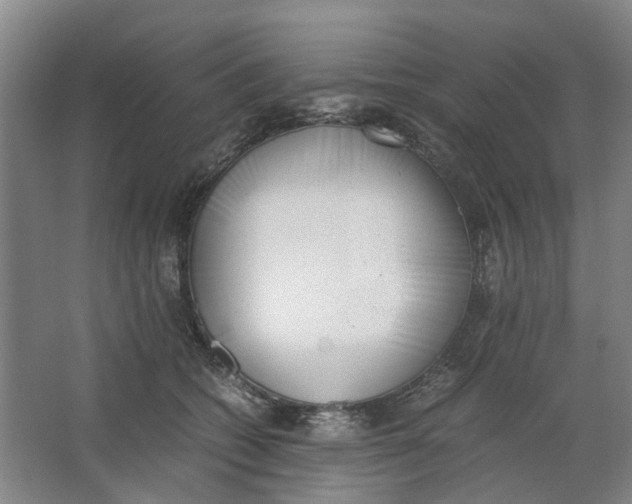 X0000062870562200601271559