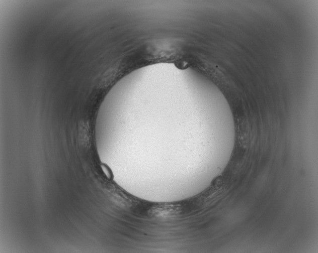 X0000062870563200601271559