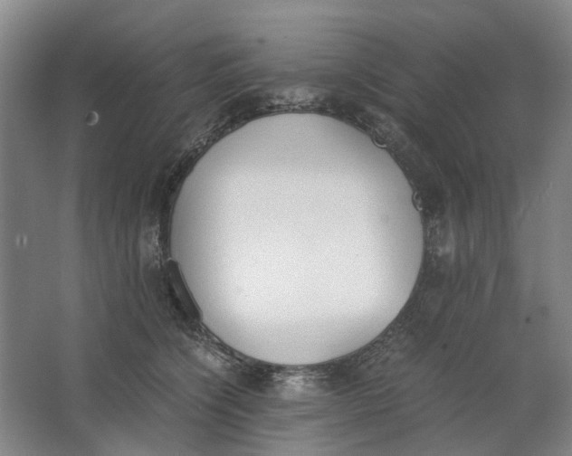 X0000062870564200601271559