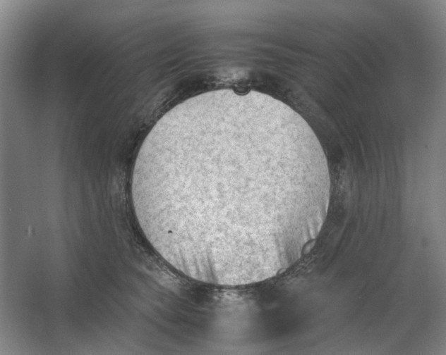 X0000062870565200601271559