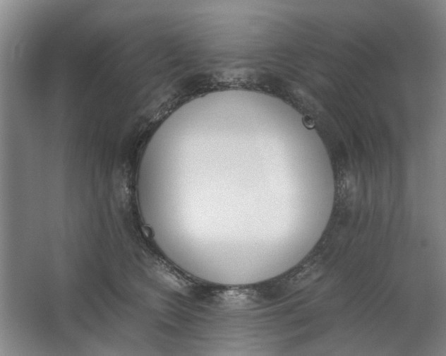 X0000062870566200601271559