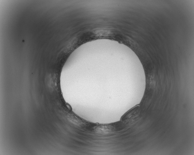 X0000062870567200601271559