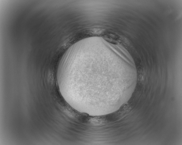 X0000062870568200601271559