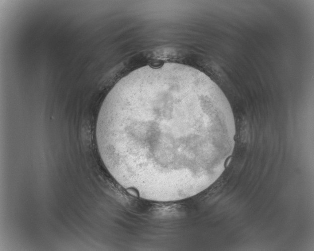 X0000062870569200601271559