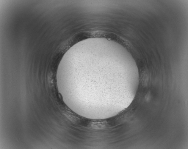 X0000062870571200601271559