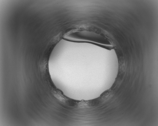 X0000062870574200601271559