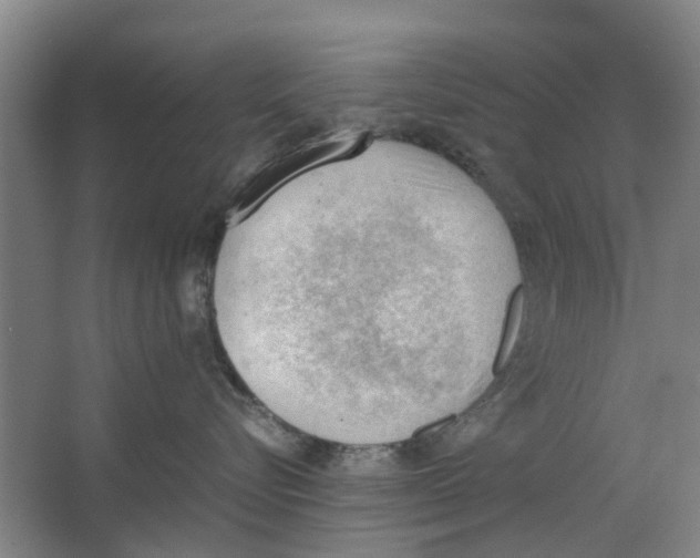 X0000062870576200601271559